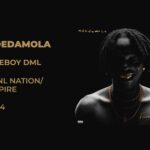 Fireboy DML's Adedamola A Personal and Musical Milestone